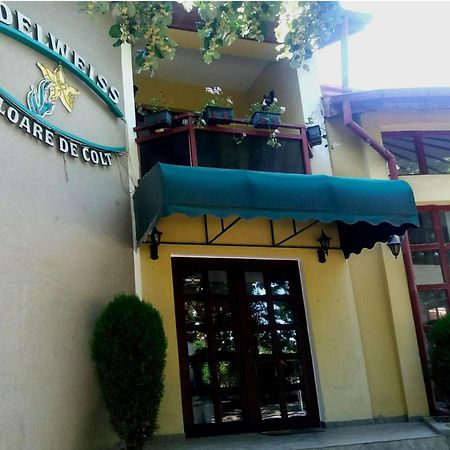 Pension Edelweiss Экстерьер фото